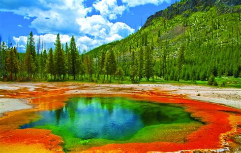 Yellowstone National Park First Class Holidays