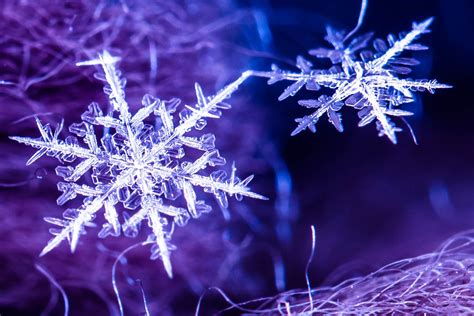 Beautiful Snowflakes Wallpapers High Quality Download Free