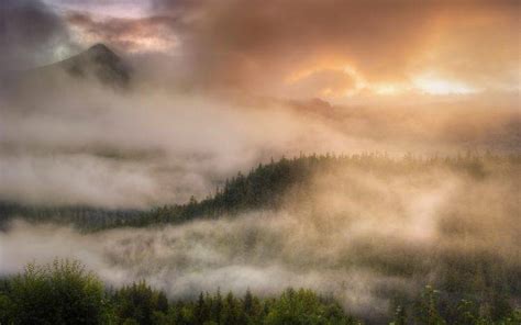 Landscape Nature Mist Forest Clouds Sunrise Mountain Trees