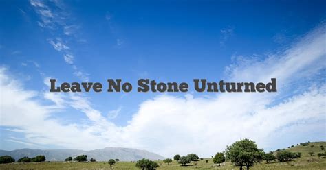 leave no stone unturned english idioms and slang dictionary