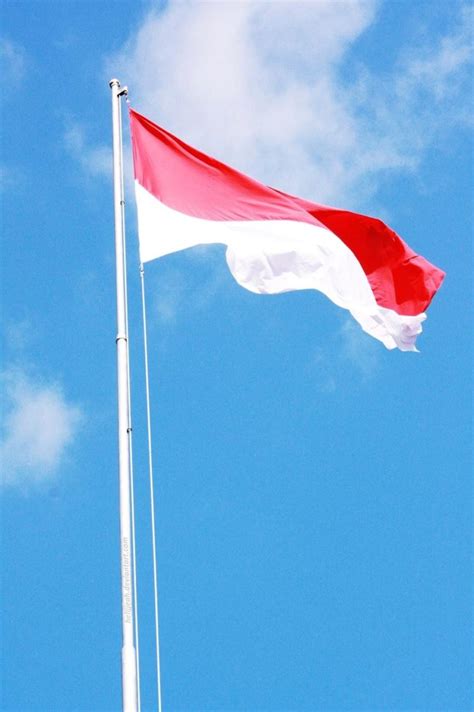 Beberapa makna proklamasi kemerdekaan bagi bangsa indonesia yang perlu diketahui. Bendera Merah Putih (GAMBAR, ARTI, SEJARAH, MAKNA, UKURAN)