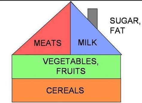 These are the most important foods in our diet and they're the foods we should be eating most. Food Pyramids Around the World | Fresh Healthy Eats