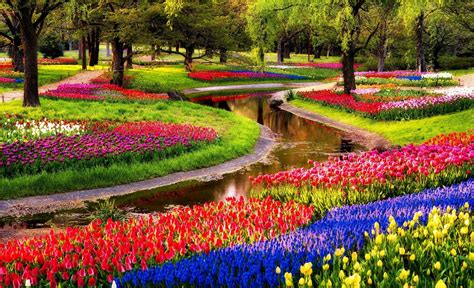Keukenhof tulip gardens are open from march 20 till 9 may 2021. Keukenhof, A Haven of Tulips in Amsterdam, The Netherlands ...