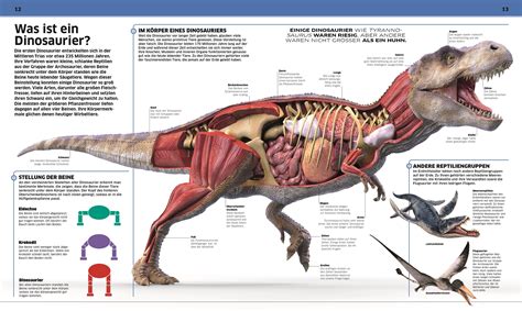 Dinosaur is an animal that i am most interested in. Wissen. Dinosaurier | DK Verlag