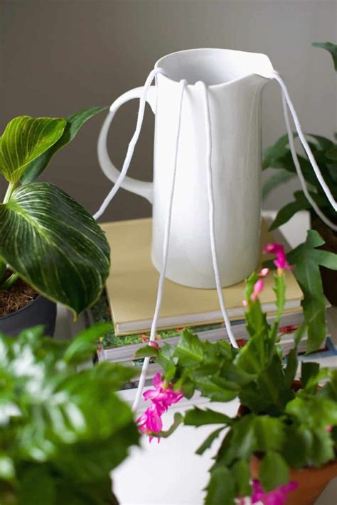 5 Self Watering Planter Hacks You Have To Try Hello Glow