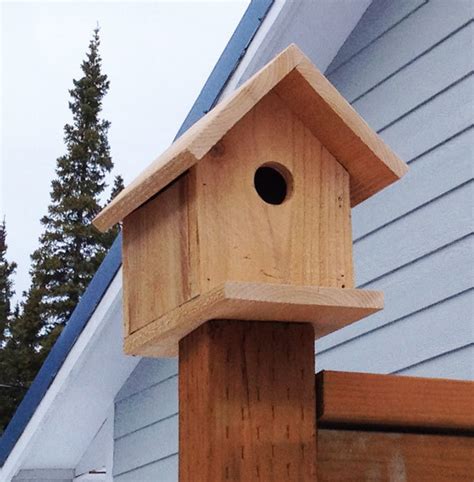 Imagine how wonderful it would be to enjoy the first sip of coffee in the backyard while watching cherubic birds playing around their newly built home. Woodwork Birdhouse Plans For Kids To Build PDF Plans