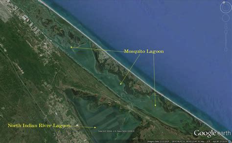 Mosquito Lagoon Fishing Guide Information Mosquito Lagoon Light Tackle