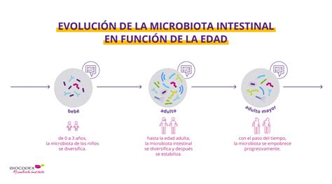 La Microbiota Intestinal Contenido Para El Público General