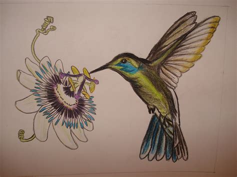 Passion Flower And Bird Hummingbird By Astridtekenares