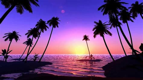 Coconut Trees At Sunrise Sunset Hd1080p Youtube