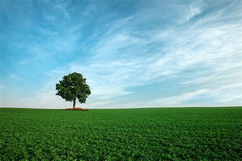 Landscape Sky Trees Hd Wallpapers Wallpaper Cave