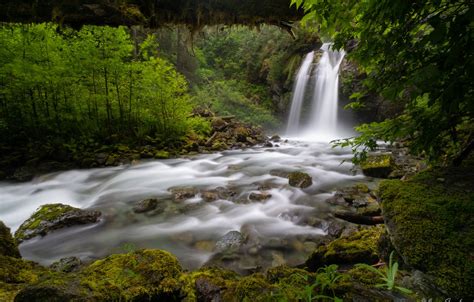 Wallpaper Forest River Waterfall Washington Washington State North