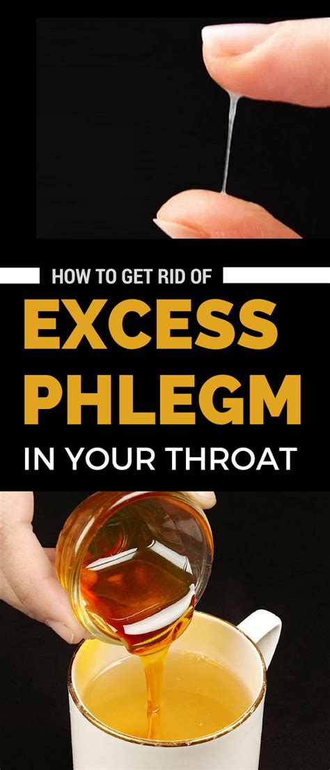 how to get rid of excess phlegm in your throat wellness active