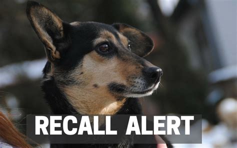 We did not find results for: RECALL ALERT: Recall Expands To Total 24 Dog Chew Products ...