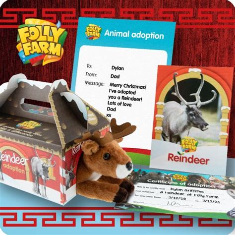 Adopt A Reindeer In The Uk • Reindeer Adoption T Packs
