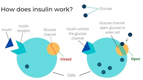 You can't choose your boarding group number; What is Insulin Resistance