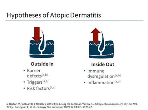 Emerging Atopic Dermatitis Treatments Understanding How They Work