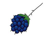 Blackberry Illustrations and Clipart. 1,056 blackberry royalty free illustrations, drawings and ...