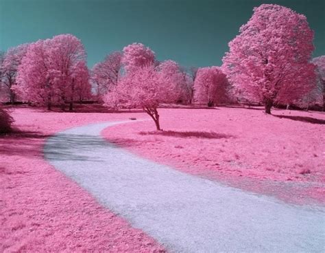 Pin Di Rebecca Miller Su Pretty In Pink Paesaggi Sfondi Estivi Foto