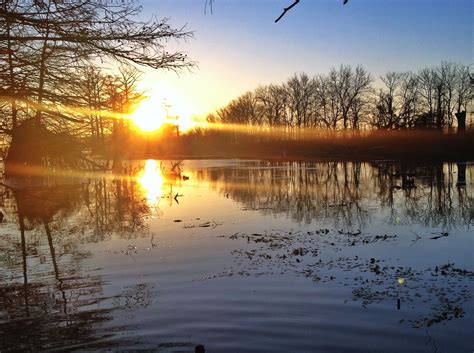 Arkansas Duck Hunt Sunrise Arkansas Duck Hunting Hunting Trip