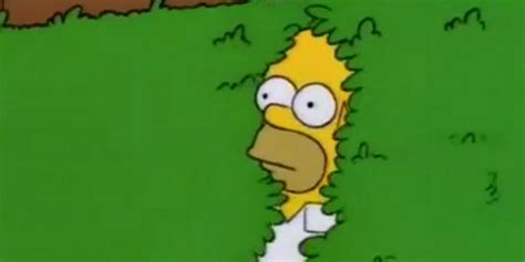 Homer Simpson Backs Into Bushes Meme Recreated By Bart And Milhouse