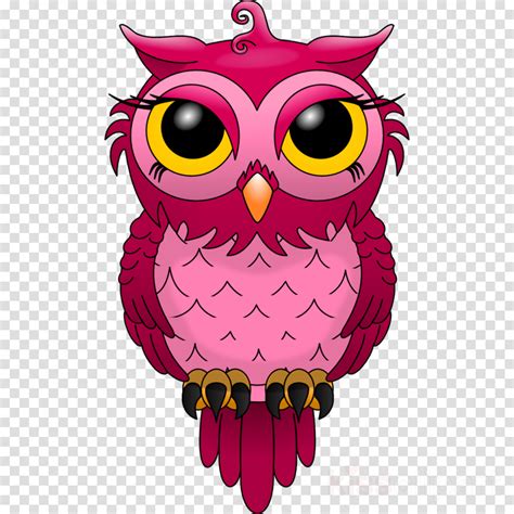 Owl Drawing Png