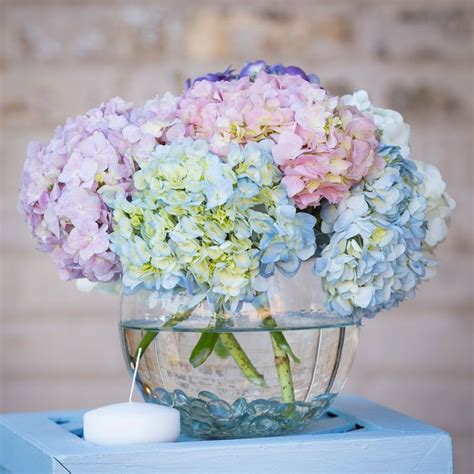 The bouquet is an arrangement of flowers that the bride carries down the aisle and holds during portraits. BF10 Snowball of Hydrangeas (With images) | Flower ...