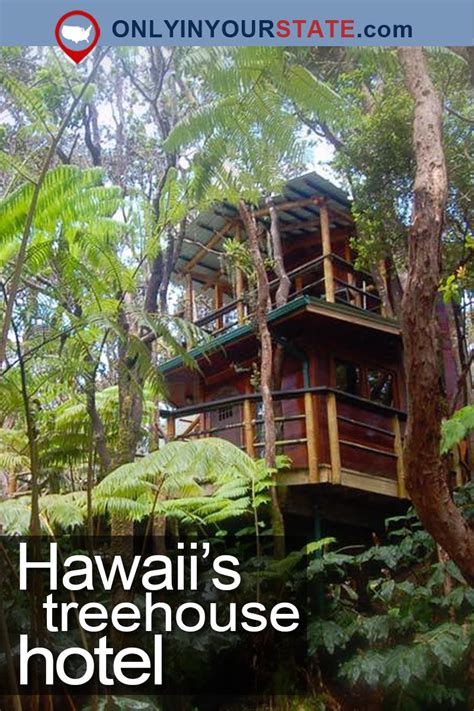 Travel Hawaii Treehouse Hotel Unique Overnight Accommodation Hawaiian Cruises