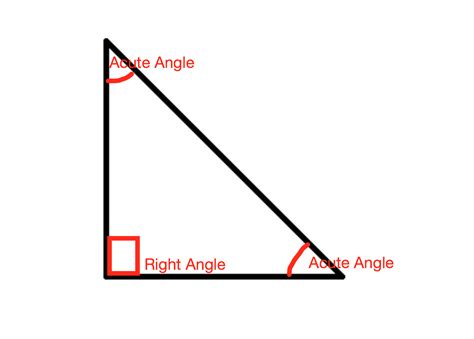 What Is The Relationship Between The Two Acute Angles In A Right Triangle
