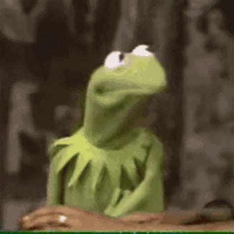 Frog Scared GIF Frog Scared Kermit Discover And Share GIFs