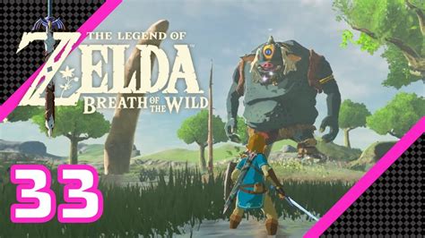 The Legend Of Zelda Breath Of The Wild All Hinox Fights 100