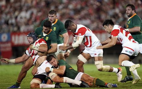 The south african springboks have won the rugby world cup twice, and continue to try and inspire the . Springboks can't afford to look beyond Japan