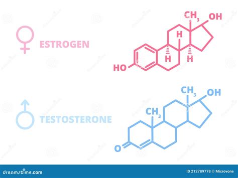 sex hormones laboratory symbol hormone estrogen testosterone chemical structure stock vector