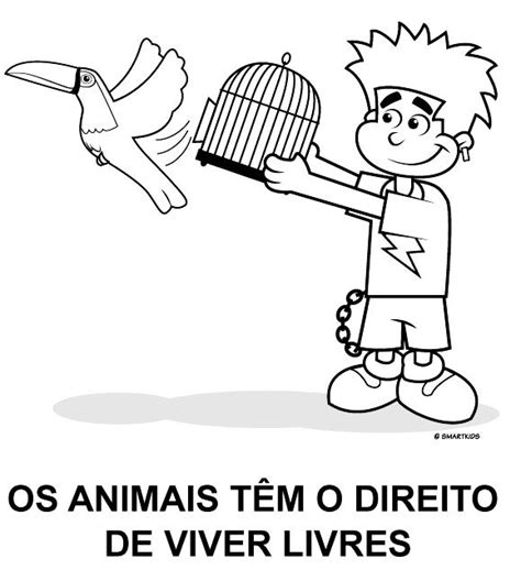 Bom Dia Alegria Recursos Vida Animal