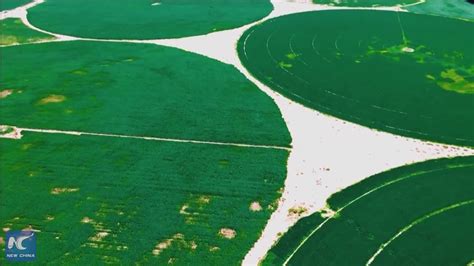 Green Circles In Ulan Buh Desert A Sign Of Ecological Progress Youtube