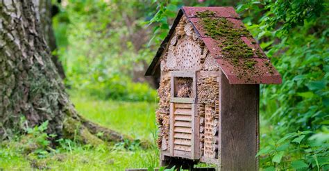 Fun and easy diy ways to provide a resting place for the unseen garden helpers. How To Build A Bug Hotel! | DIY Garden