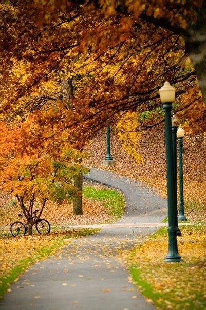 14 Photos Of I Walked On Paths Of Crisp Autumn Leaves