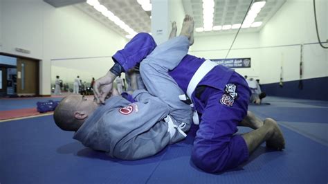 All Jiu Jitsu Clubs Training - YouTube