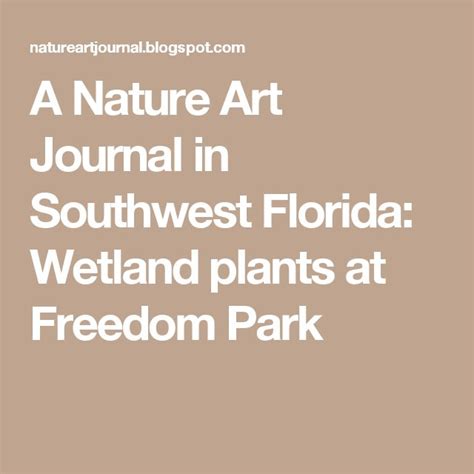 The Cover Of A Nature Art Journal In Southwest Florida Sketching In The