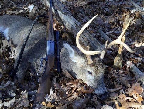 Hunters Await Historic Sunday In West Virginia Local News Times