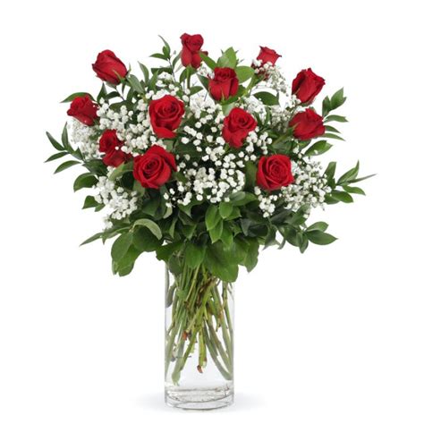 Red Roses Red Roses With Babies Breath Best Florist In Tucson