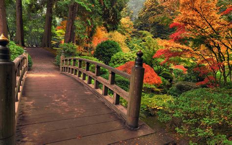 Architecture Bridges Garden Nature Landscapes Stream Plants Bush Trees