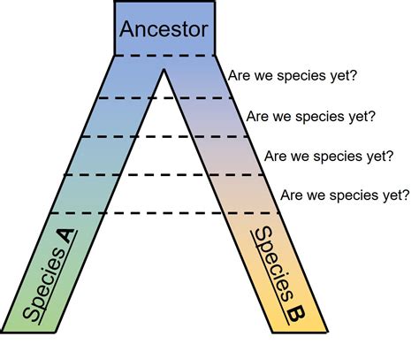 Speciation And Macroevolution Qce Biology Revision