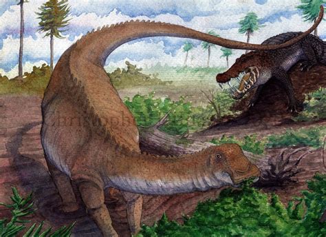 Prehistoric Beast Of The Week Nigersaurus Beast Of The Week