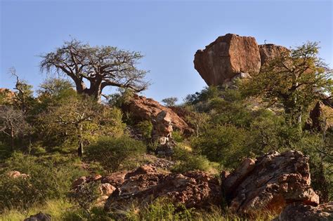 Mapungubwe National Park Zuid Afrika Pangea Travel