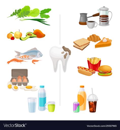 Good And Bad Food For Healthy Teeth Royalty Free Vector