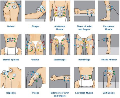 Can you use tens unit while sleeping? TENS pad placement | Physical therapy, Tens unit placement ...