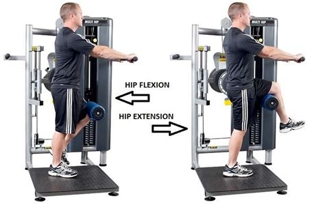Standing Hip Flexion Machine
