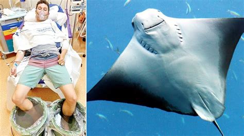 Why You Should Avoid Deadly Stingrays Youtube