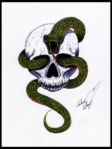 Snake Skull By Blackidus On Deviantart